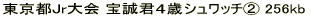 �p��b���� No1