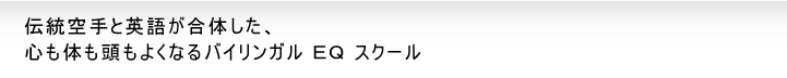 雜ｳ遶句玄縺ｧ遨ｺ謇九→闍ｱ隱槭〒・･・ｱ謨呵ご縲繝槭ワ繝ｭ繧､繝ｳ繧ｿ繝ｼ繝翫す繝ｧ繝翫Ν繧ｹ繧ｯ繝ｼ繝ｫ縲遨ｺ謇矩％蝣ｴ